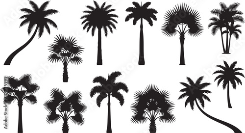 Black Palm Tree Silhouette Vector Collection Tropical Island Nature Design Elements Set