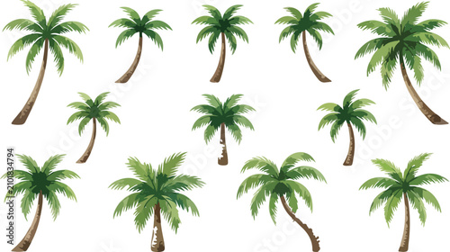 Watercolor Tropical Palm Tree Vector Botanical Green Summer Nature Illustration Element