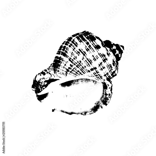 Black Spiral Conch Seashell with Open Aperture, Vintage Engraving Marine Clipart Isolated on Transparent Background