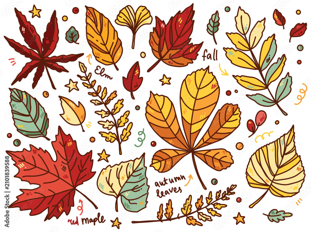 Fototapeta premium vector set of autumn illustration