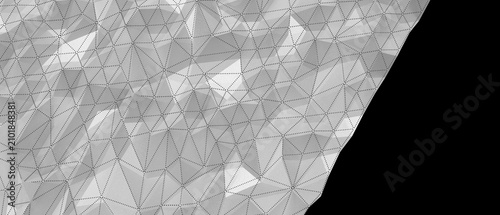 Detailed geometric mesh sur...
