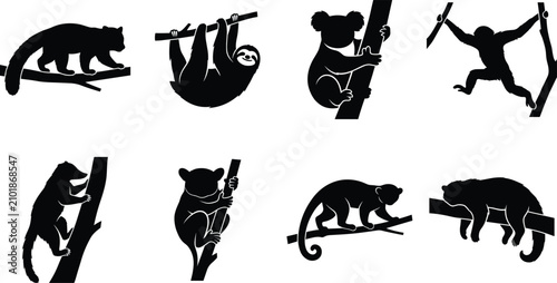 Canvas Print Tree Climbing Mammal Silhouette Set with Sloth Koala Monkey and Forest Wildlife