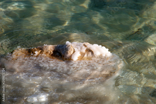 Crystallized salt rocks along the shores of the Dead Sea, Israel