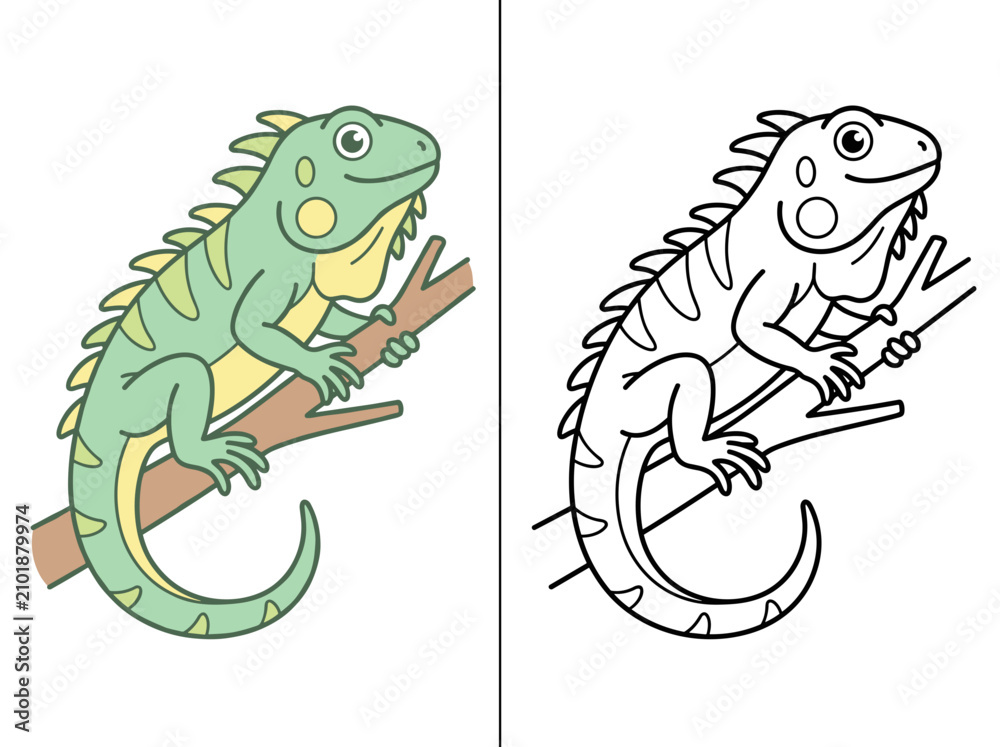 Obraz premium A cute green iguana vector illustration featuring a full color character design side by side with a clean black and white line art coloring page outline.