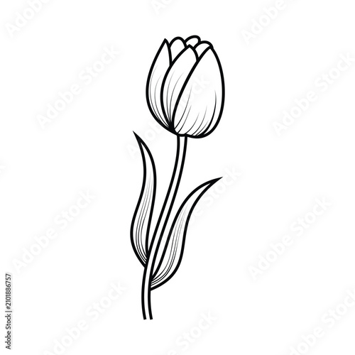 flower plant silhouette outline illustration coloring book page design,