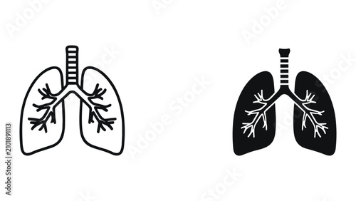 Foto Set of human lungs icons, respiratory system vector illustration, isolated on wh