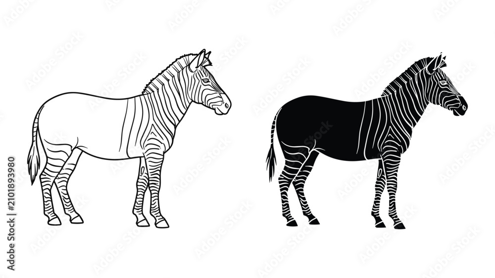 Obraz premium Set of two zebras, one outline drawing and one silhouette, isolated on white background