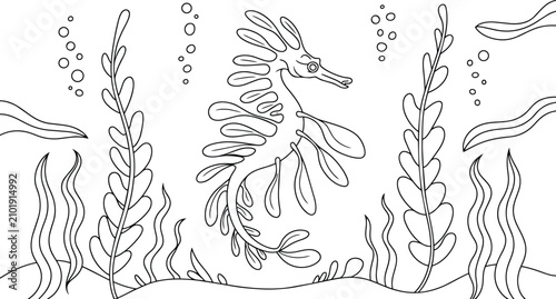 Seahorse coloring page featuring a leafy sea dragon swimming among aquatic plants, seaweed, and rising bubbles in an underwater scene and ocean