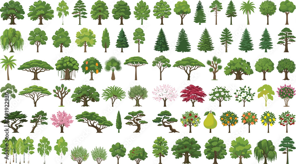Fototapeta premium Tree Collection Vector Set with Deciduous Evergreen Palm and Ornamental Landscape Trees