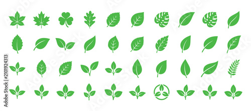 Vászonkép Collection Of Green Leaf Shapes A Flat Vector Illustration With Varied Vein Patt