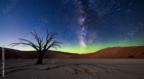 A silhouetted dead tree stands under a stunning Milky Way galaxy and starry night sky in the Namib desert.