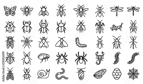 Cuadro en lienzo Modern Insect Line Icons Collection with Garden Wildlife and Entomology Symbols