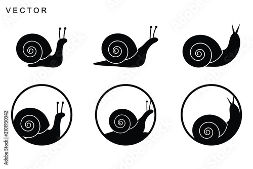Konstfotografi Snail vector icon, Snail modern line art, black and white snail and slug crawlin