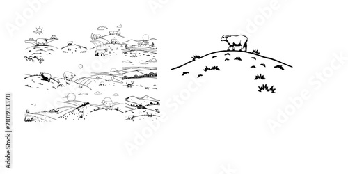 Fotografía Sheep Grazing on a Hill on a Sunny Farm Kids Coloring Page