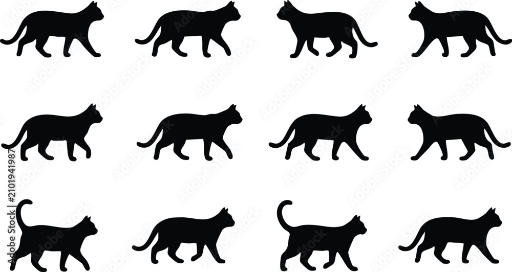 Obraz premium Twelve black cat silhouettes showing walking poses for halloween or animal themed projects on a white background
