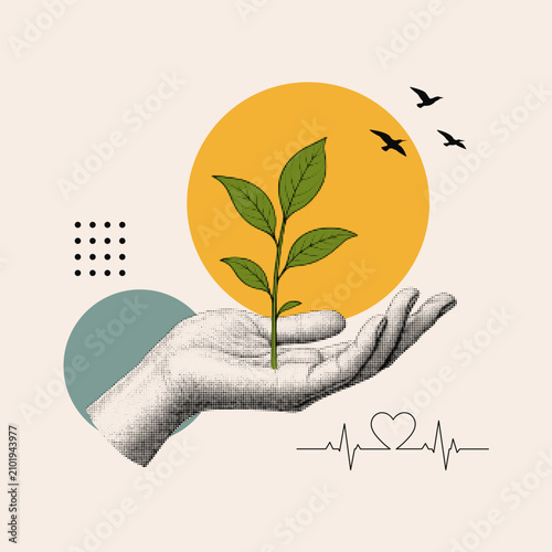 Minimalist eco collage with human hand holding a young plant. Sustainable growth, environmental care and nature conservation concept in modern boho style with geometric abstract elements.