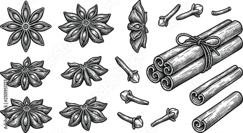 Fotografía Vintage Sketch Culinary Spice Collection with Anise Stars, Cinnamon Sticks, and