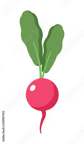 Foto Flat cartoon vector illustration of a radish