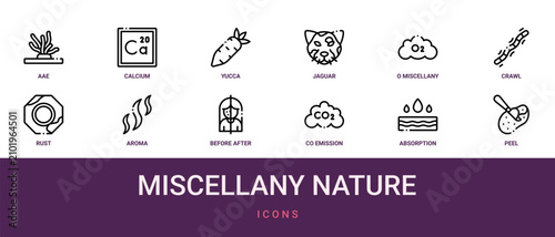 Картината върху платно Set of 12 outline web Miscellany Nature icons such as peel, absorption, co emiss