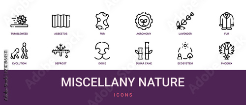 Принти на полотні Set of 12 outline web Miscellany Nature icons such as phoenix, ecosystem, sugar