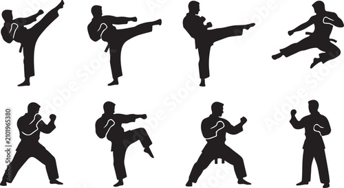 Bild auf Leinwand Silhouettes of martial artists performing kicks and punches in dynamic poses aga