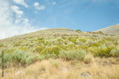 Картината върху платно Grassy hillside with shrubs and dry vegetation under a blue sky, Serra da Estrel