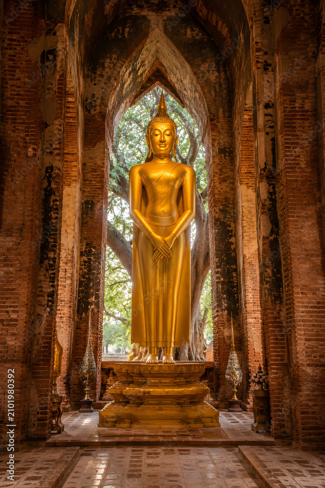 Fototapeta premium Golden standing Buddha statue in Thaway Net posture for Sunday birthday inside ancient brick arch