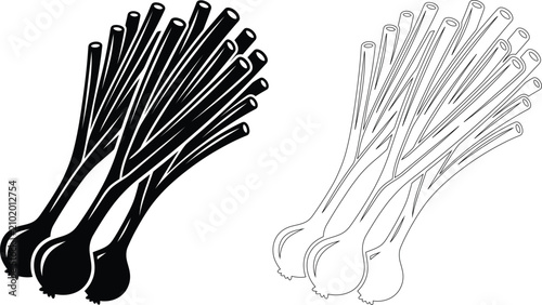 Photos Set of scallions or spring onion vegetables icon illustration with scallion vege
