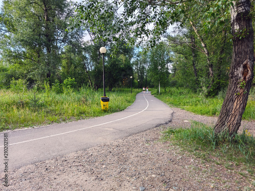 Tarmac-surfaced park path with markings for pedestrians and cyclists.