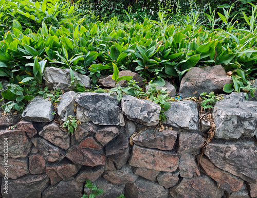 Dry stone wall, often used in landscaping to stabilise slopes