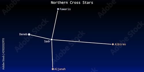 Принти на полотні The Northern Cross Stars Asterism in the Night Sky Illustration (Albireo, Sadr,