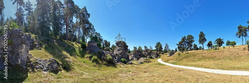 Bild auf Leinwand Luftaufnahme des Felsenmeers im Wental mit markanten Felsformationen aus Jurakalk, umgeben von einem dichten Nadelwald und Wanderwegen auf der Schwäbischen Alb bei Sonnenschein