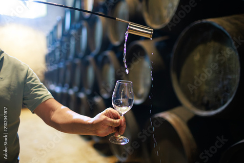 Obraz na płótnie Hand holding wine glass sampling sherry from barrel