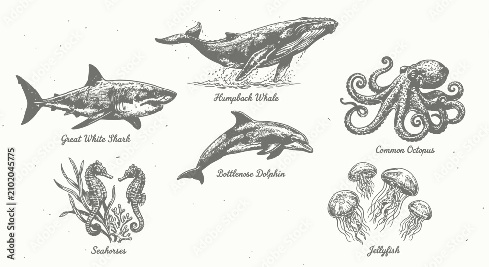 Obraz premium Vintage hand-drawn marine life collection featuring a humpback whale, great white shark, bottlenose dolphin, common octopus, seahorses, and jellyfish in a detailed black and white sketch style.