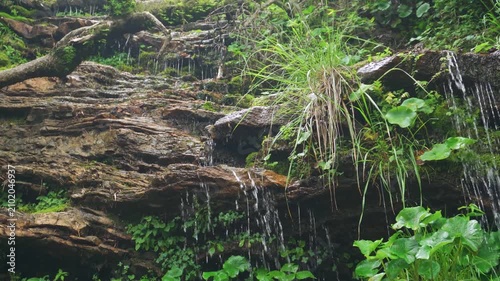 Fast-moving, natural stream of freshwater flowing over rock wall