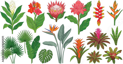 Tropical Plants and Exotic Flower Vector Set with Botanical Foliage Collection