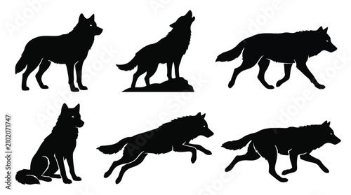 A set of six wolf in various poses silhouette vector illustration on a white background
