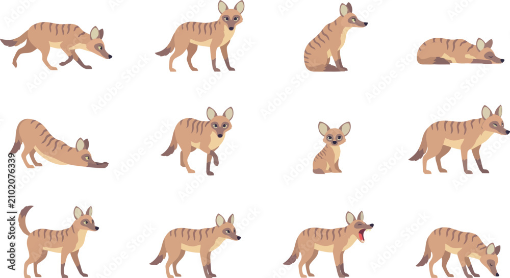 Obraz premium Collection of flat vector illustrations featuring a wild aardwolf in various poses and natural animal behaviors