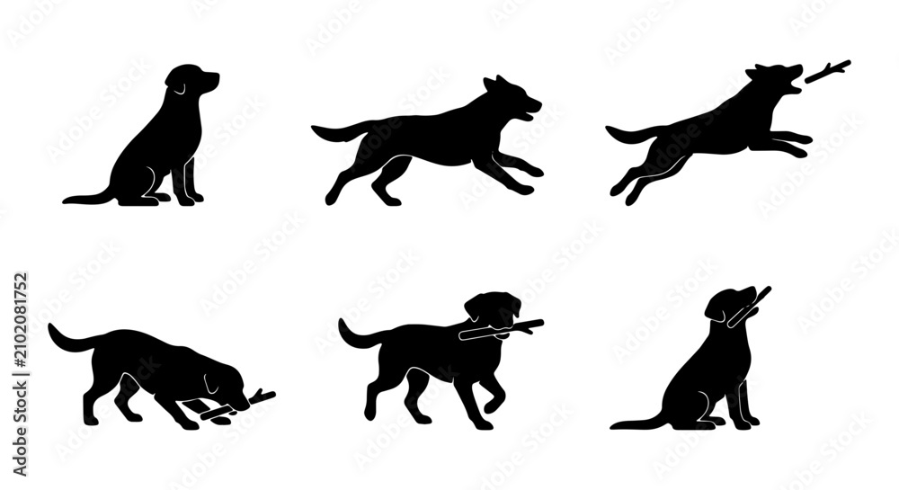 Fototapeta premium Labrador Dog Silhouettes, Playful Poses, Fetching Stick, Vector Set