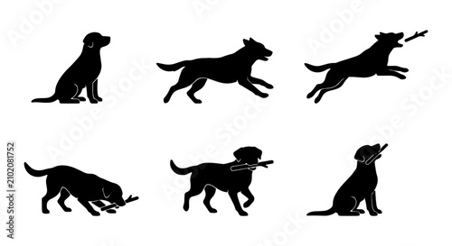 Foto Labrador Dog Silhouettes, Playful Poses, Fetching Stick, Vector Set