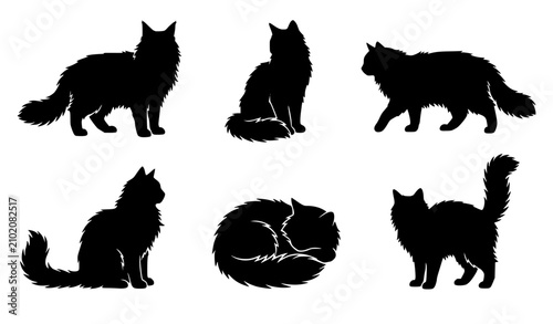 Six Long Haired Cat Black Silhouette Vector Collection with Graceful Domestic Feline Poses