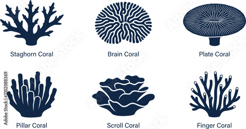 Set of six different types of coral reef icons