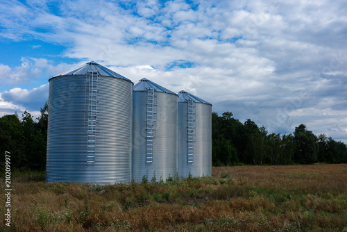 Three modern corrugated steel grain silos standing in a row on a farm field. Agricultural storage tanks with ladders under a blue sky with white clouds. Industry and farming concept.