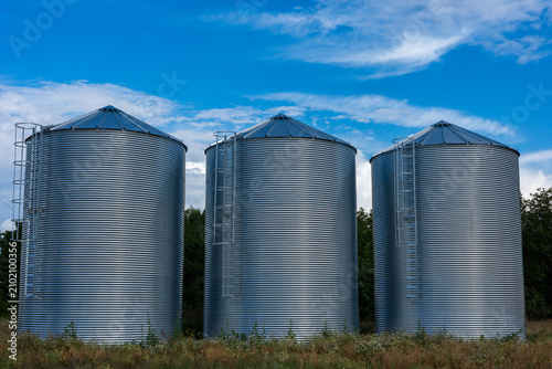 Three modern corrugated steel grain silos standing in a row on a farm field. Agricultural storage tanks with ladders under a blue sky with white clouds. Industry and farming concept.