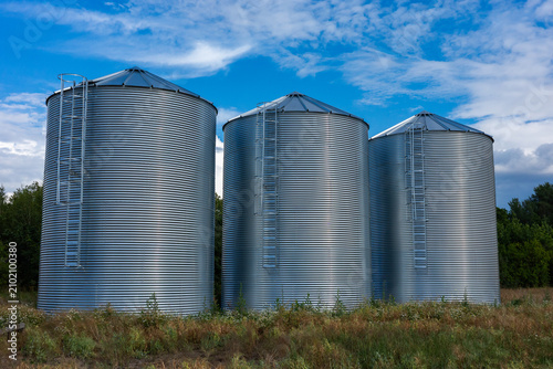 Three modern corrugated steel grain silos standing in a row on a farm field. Agricultural storage tanks with ladders under a blue sky with white clouds. Industry and farming concept.