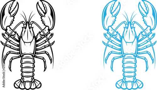 Black and white line art illustration of a lobster and a blue outline lobster sketch
