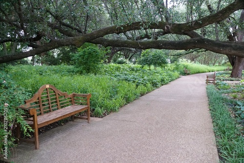 Curving garden pathway lined with wooden benches surrounded by lush greenery and large trees near Fort Worth Botanic Gardens, Texas, U.S