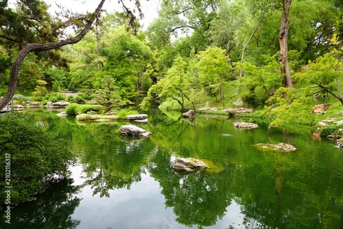 Green pond with rocks, reflections, and dense surrounding trees creating a peaceful garden scene near Fort Worth Botanic Gardens, Texas, U.S