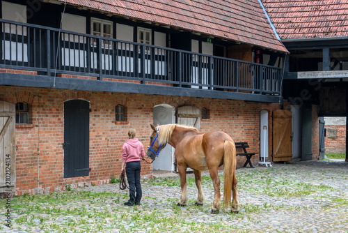 Obraz na płótnie breeder taking care of horses in a farm