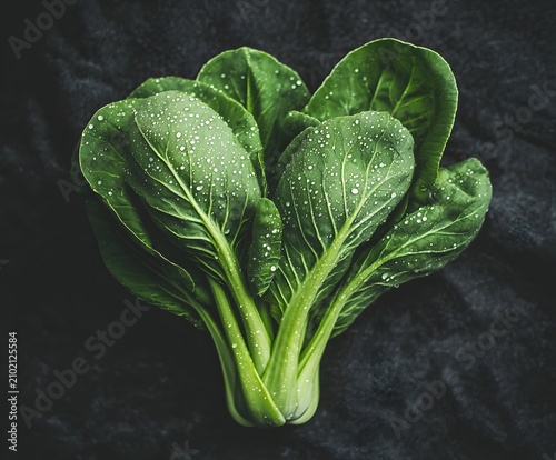 Fresh bok choy with water droplets on dark background.